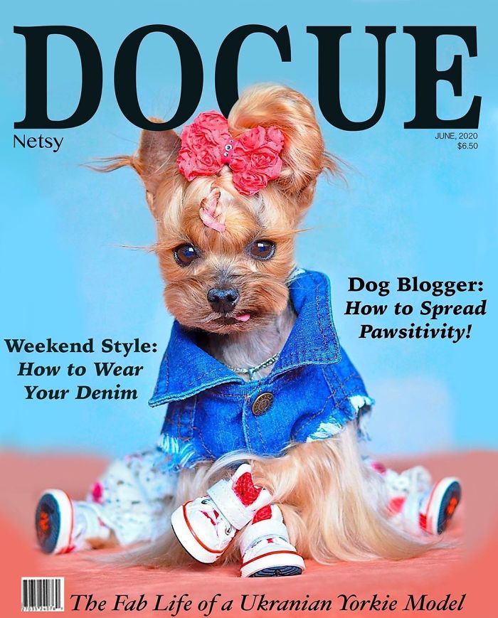 Vogue-Cover-Pets-Challenge