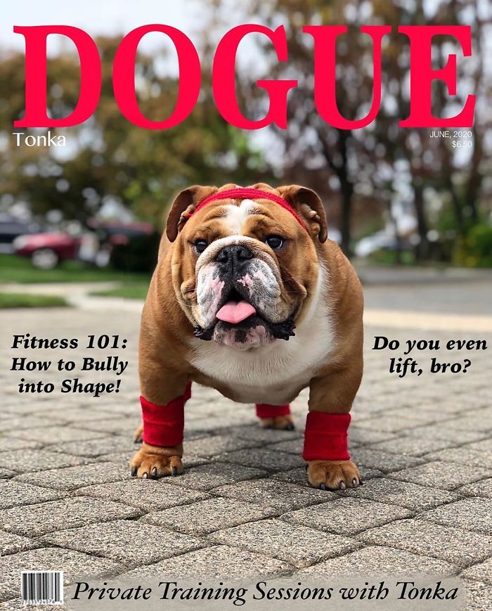 Vogue-Cover-Pets-Challenge