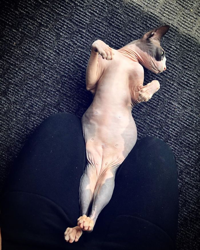 My Mom Is Turning Me Into A Model