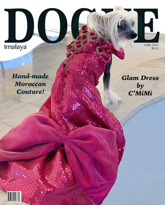 Vogue-Cover-Pets-Challenge