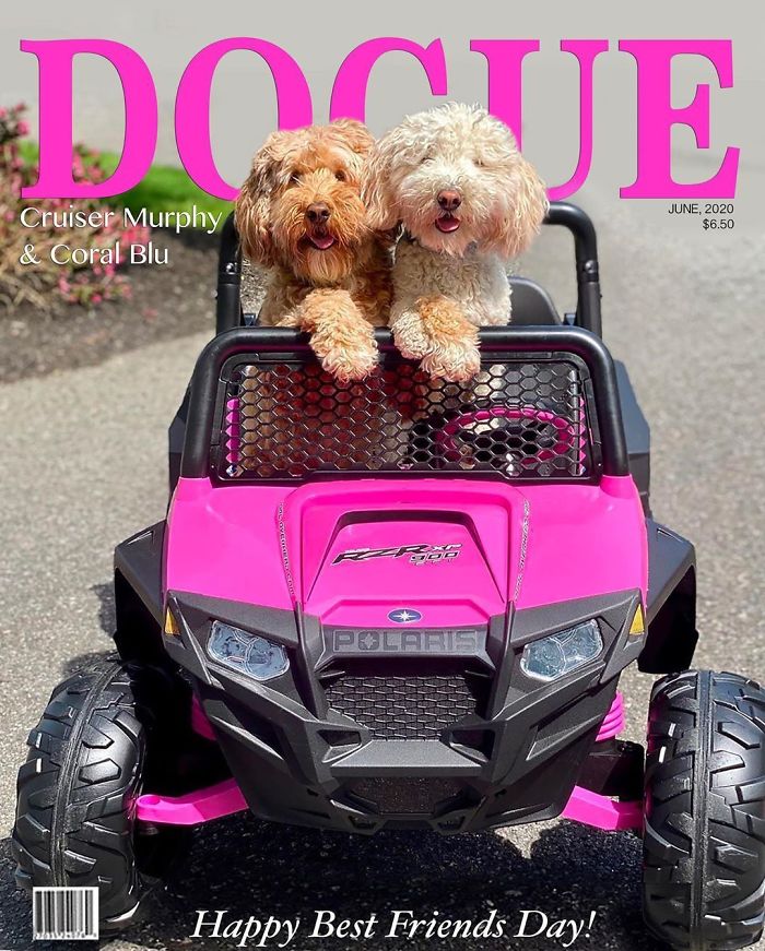 Vogue-Cover-Pets-Challenge