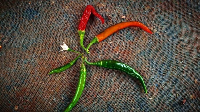 Life Is A Cycle , The End Of One Journey Is The Beginning Of Next "Chill's Cycle"