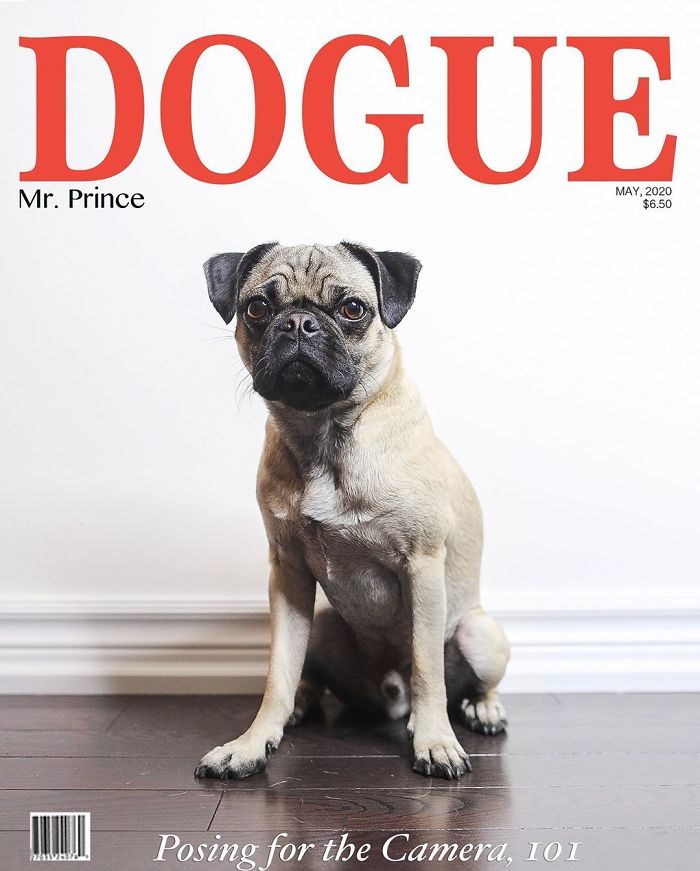 Vogue-Cover-Pets-Challenge