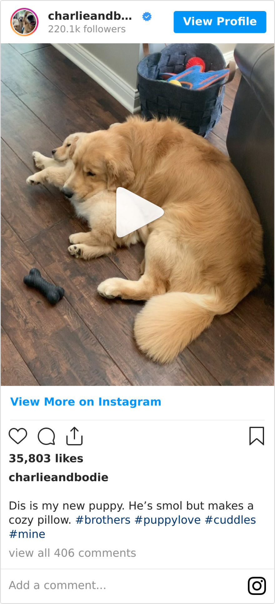 These Adorable Dogs Love Using Each Other As Pillows (26 Pics) These Adorable Dogs Love Using Each Other As Pillows (26 Pics)