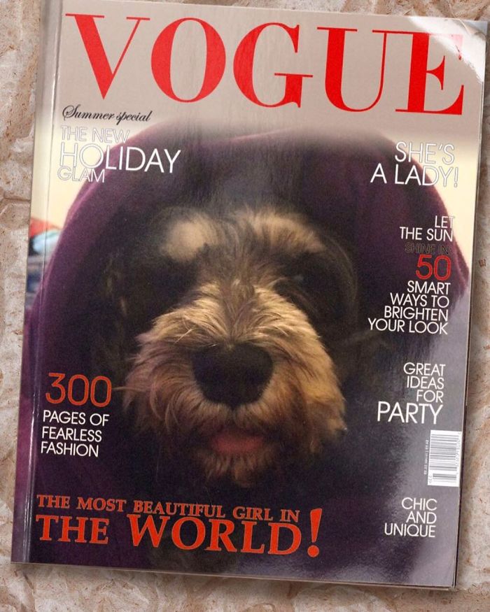 Vogue-Cover-Pets-Challenge