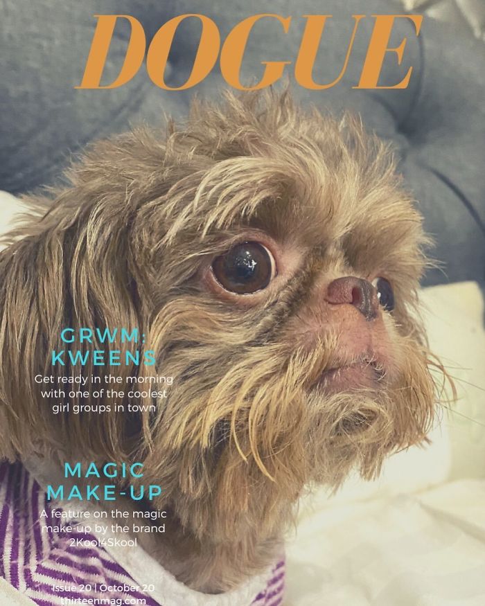 Vogue-Cover-Pets-Challenge