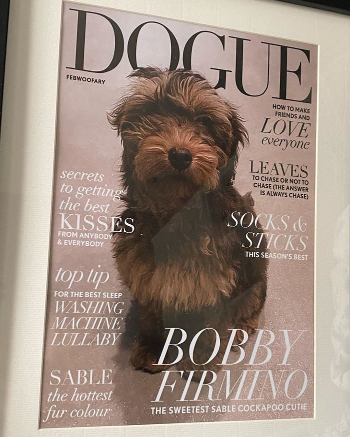 Vogue-Cover-Pets-Challenge