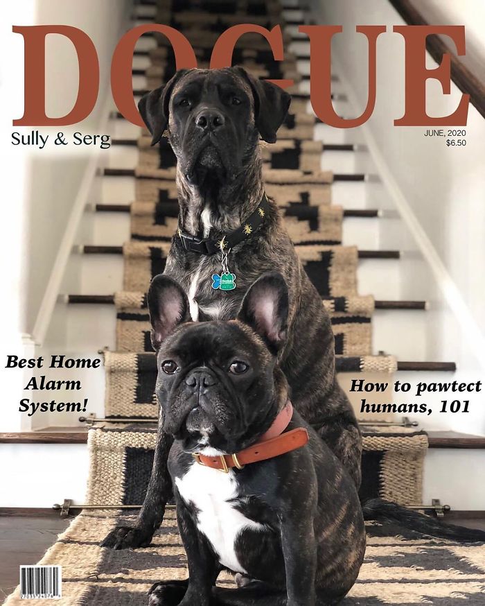 Vogue-Cover-Pets-Challenge