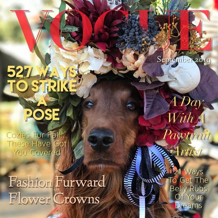 Vogue-Cover-Pets-Challenge
