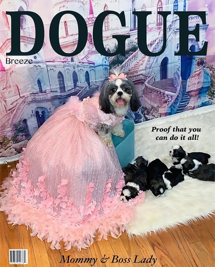 Vogue-Cover-Pets-Challenge