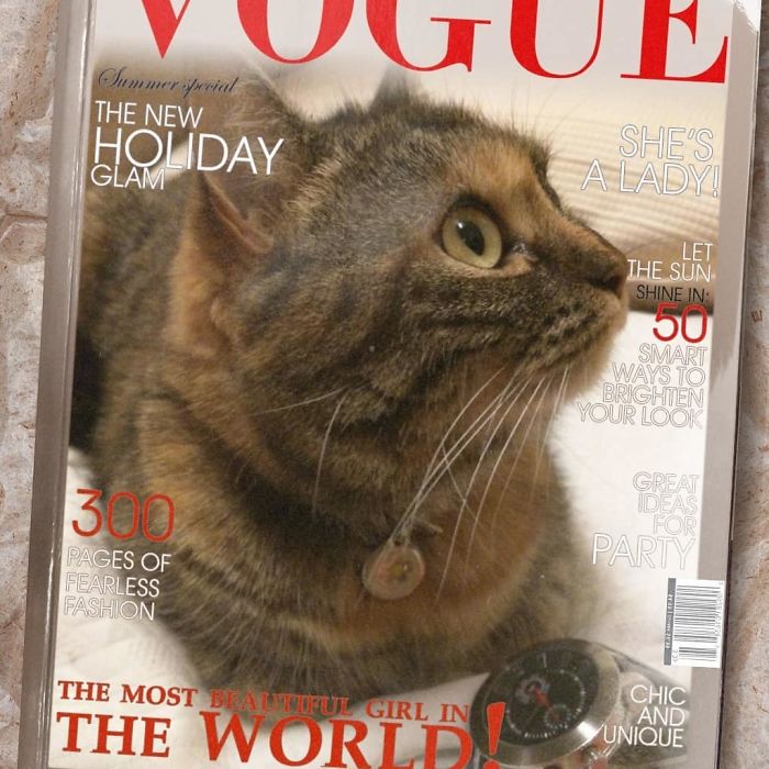 Vogue-Cover-Pets-Challenge