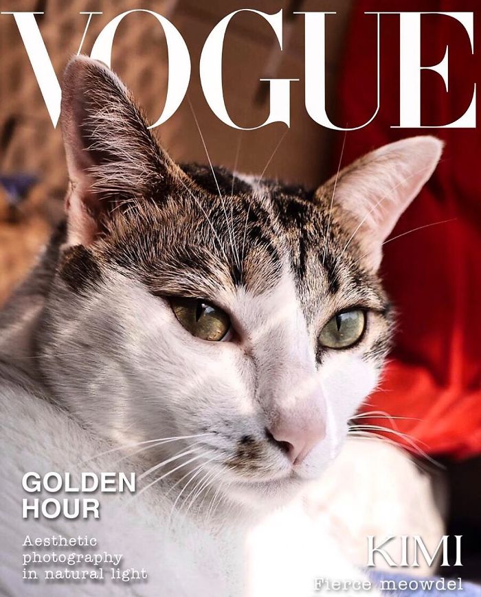 Vogue-Cover-Pets-Challenge