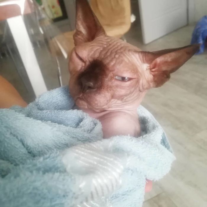 When You Accidentally Open The Front Camera