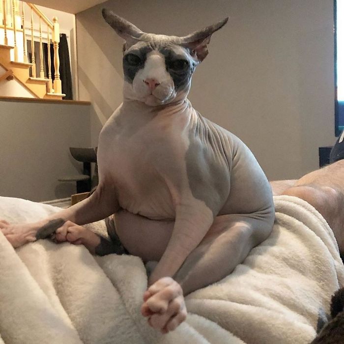 Feeling A Little Bloated, I’m One Fart Away From My Sexy Figure