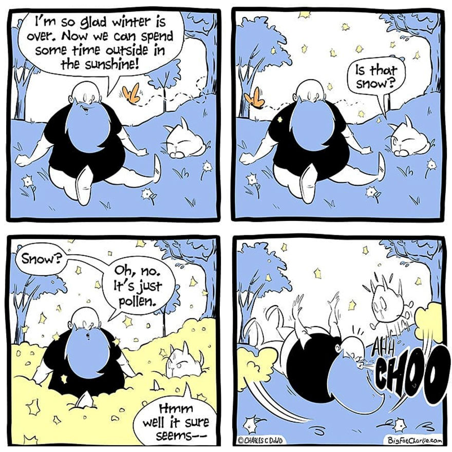 13 Comics About Being Fat, Having Diabetes, And A Cat