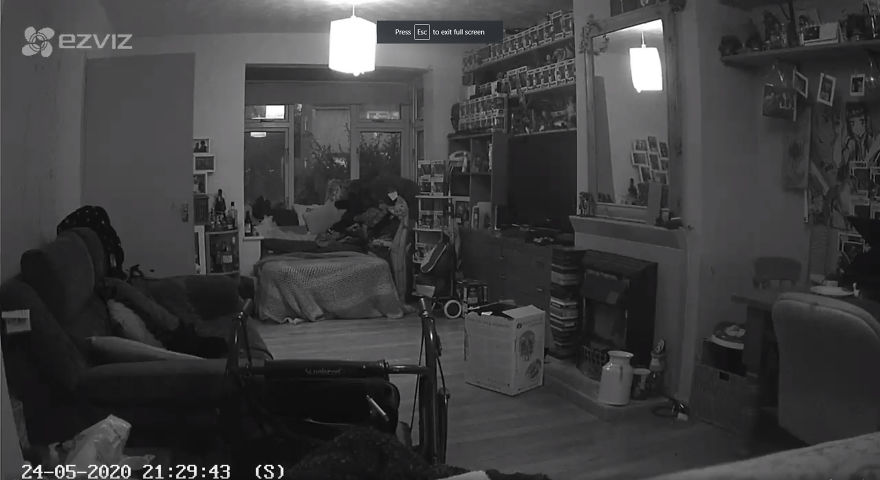 Woman Thinks That Her Dead Cat Visited Her Room Exactly One Year After She Died, Shows Footage