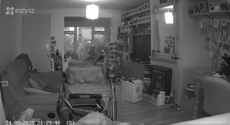 Woman Thinks That Her Dead Cat Visited Her Room Exactly One Year After She Died, Shows Footage