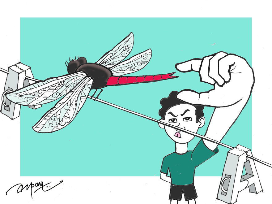 Catching Dragonflies