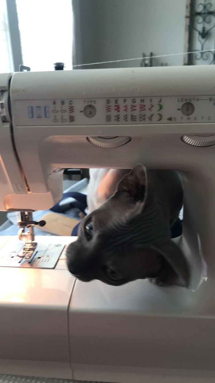 Are You Making More Masks?