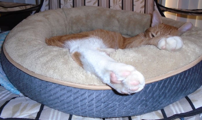 Max And His Toe Beans, First Full Day With Me.
