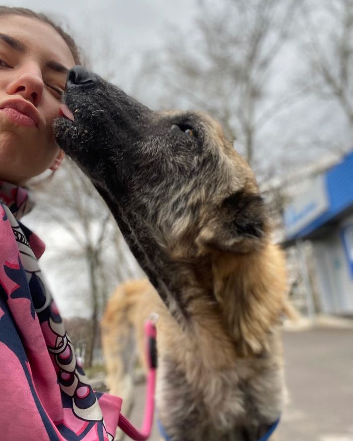 People Find A Dog Left For Dead By Breeders With Her Uterus Hanging Out