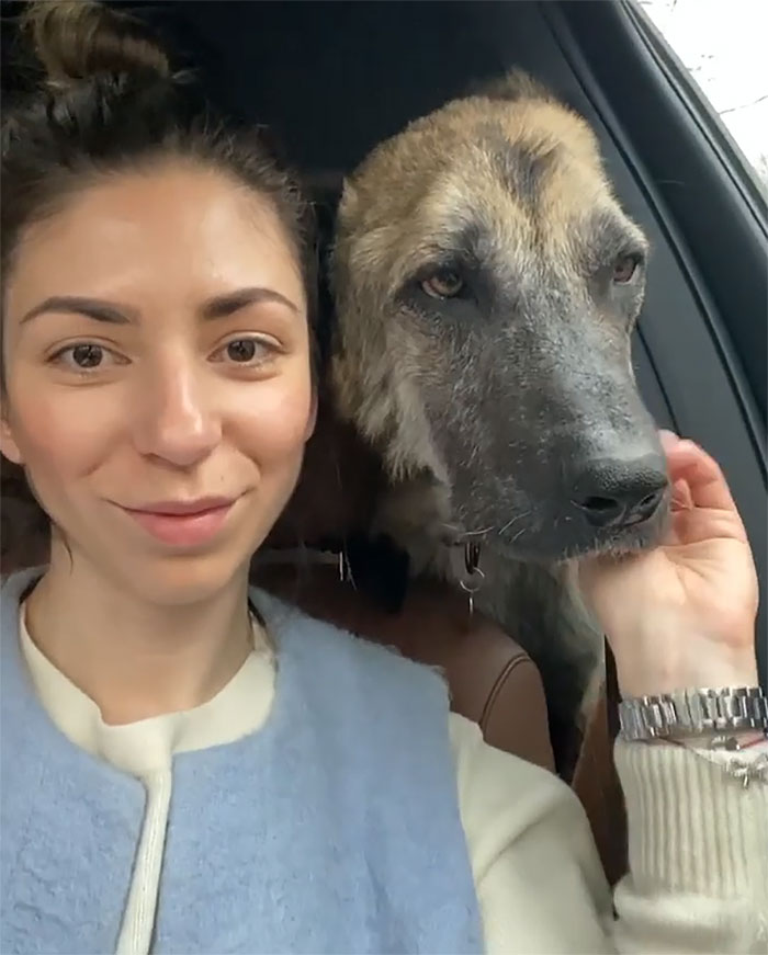 People Find A Dog Left For Dead By Breeders With Her Uterus Hanging Out People Find A Dog Left For Dead By Breeders With Her Uterus Hanging Out