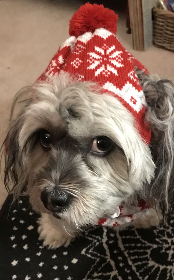 Why Do You Make Me Wear These Ridiculous Hats?