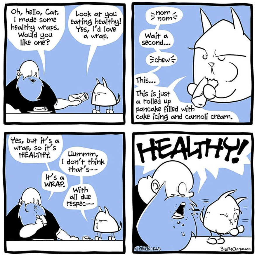 13 Comics About Being Fat, Having Diabetes, And A Cat