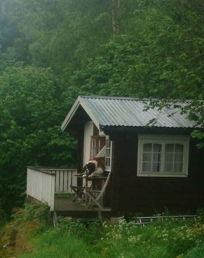 If You Lock The Door, I Just Open The Window Instead