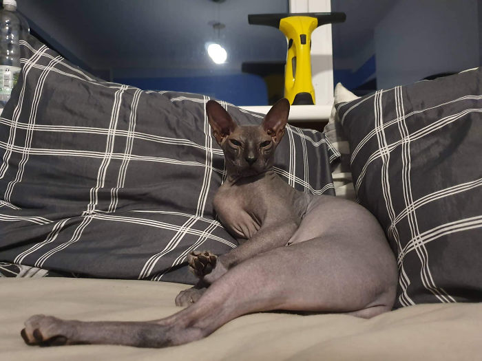 Are You Coming To Bed?