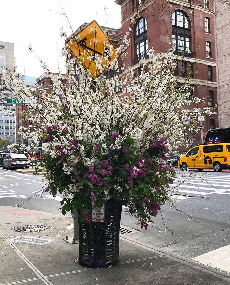 Unexpected Places In NYC Are Blooming With Flowers To Honor Healthcare Workers Thanks To Lewis Miller (11 Pics) Unexpected Places In NYC Are Blooming With Flowers To Honor Healthcare Workers Thanks To Lewis Miller (11 Pics)