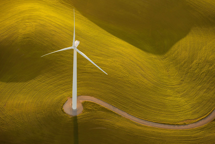 Green Fields At Sunset