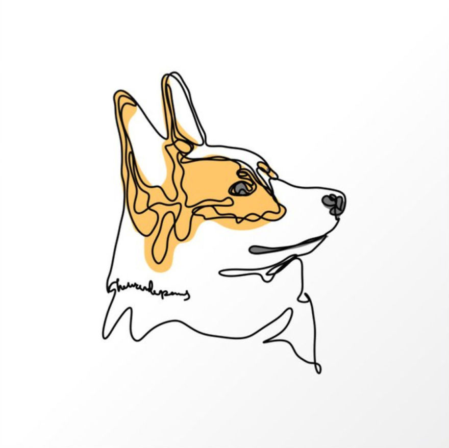 Corgi