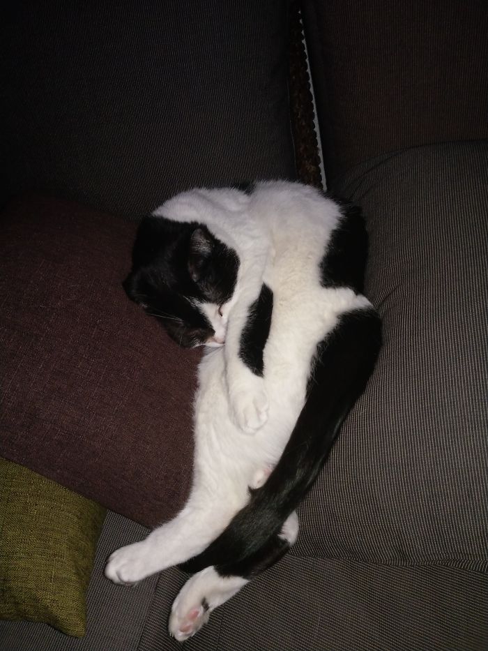 I Messed Up Assembling Her...