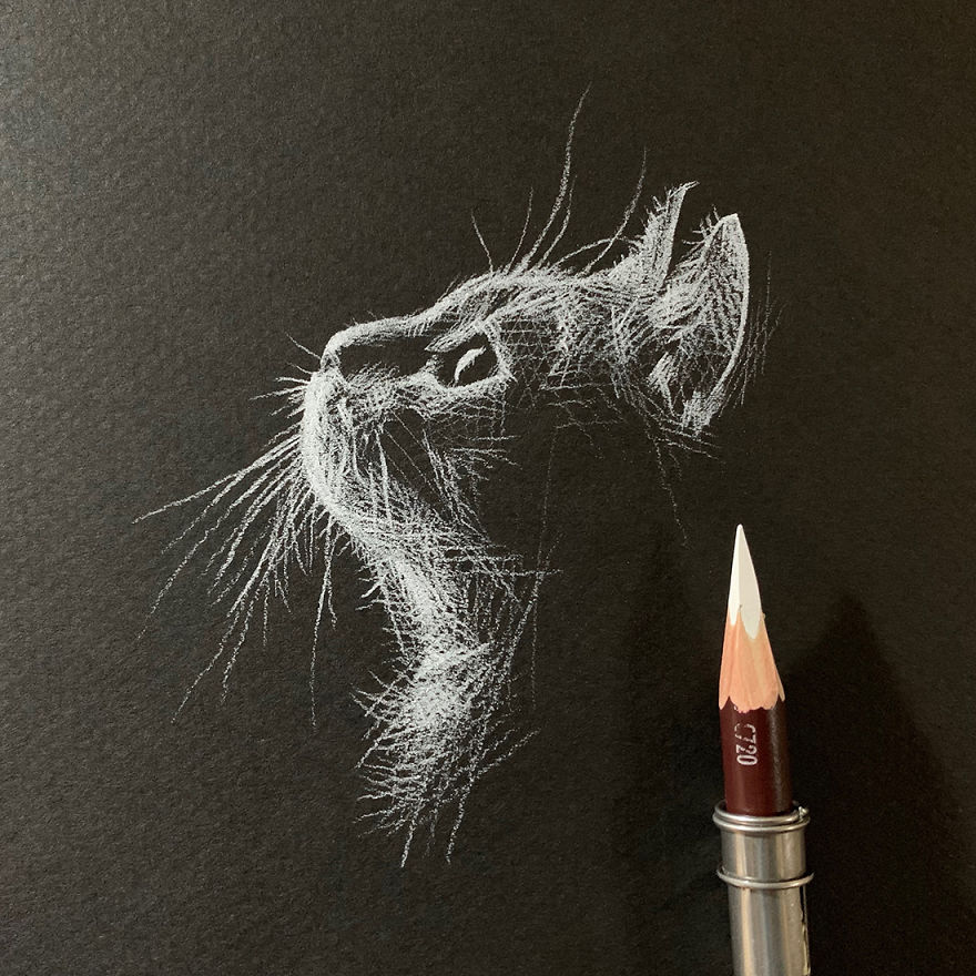 When White Pencil Meets Black Paper…