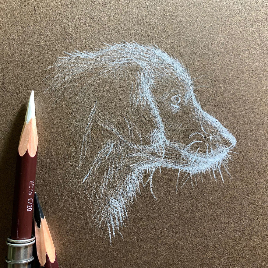 When White Pencil Meets Black Paper…