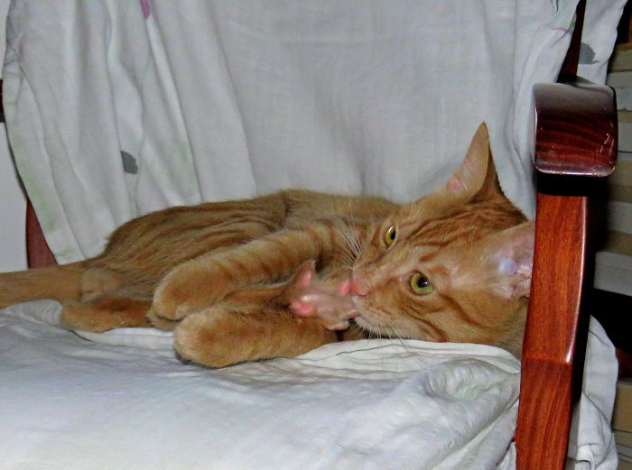 A Foolish But Irresistible Face!