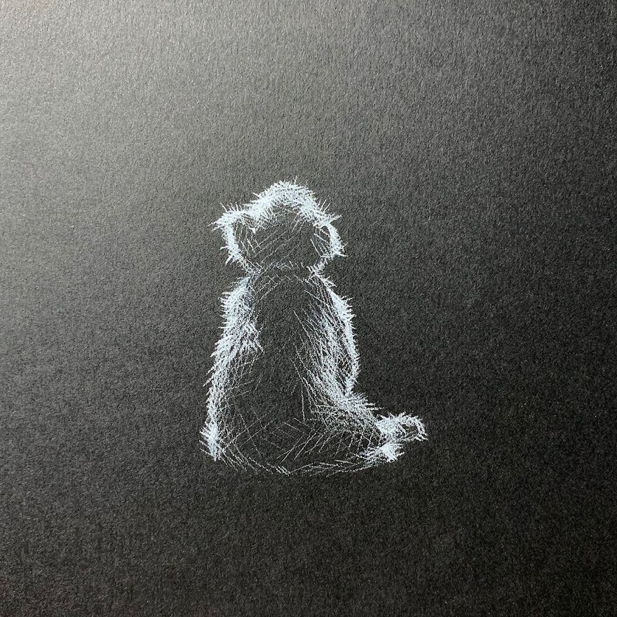 When White Pencil Meets Black Paper…