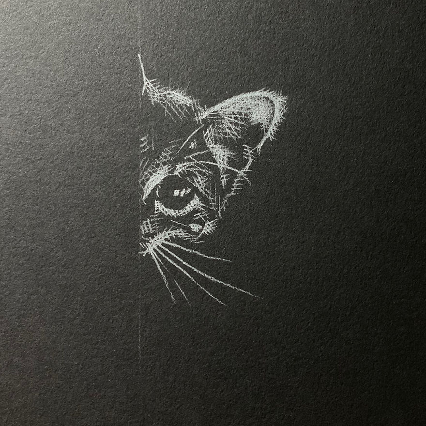 When White Pencil Meets Black Paper…