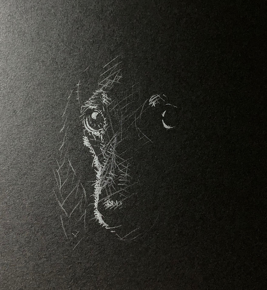 When White Pencil Meets Black Paper…
