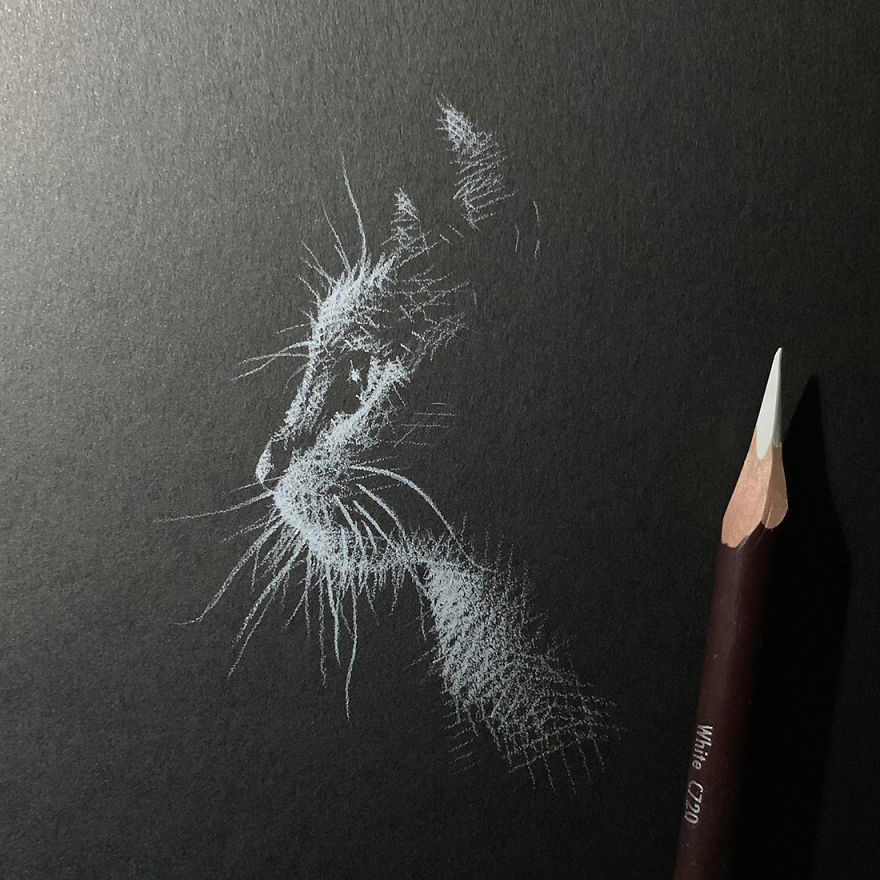 When White Pencil Meets Black Paper…