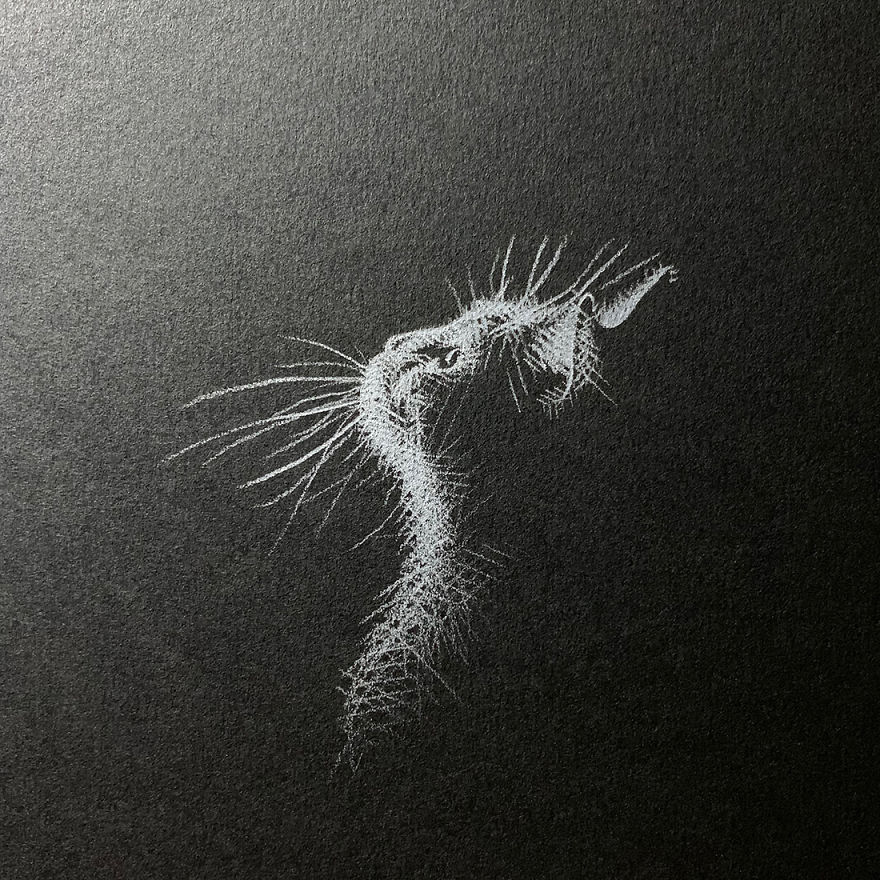 When White Pencil Meets Black Paper…