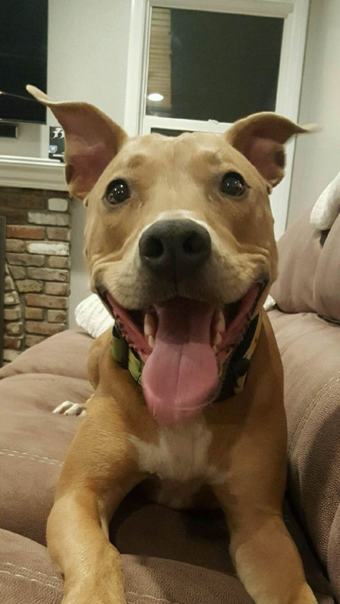 Our Sweet Rescue...latte!