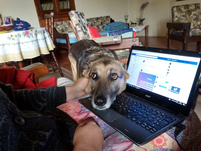 C'mon! Little Bit Attention, Please!