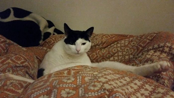 Caught In The Act...