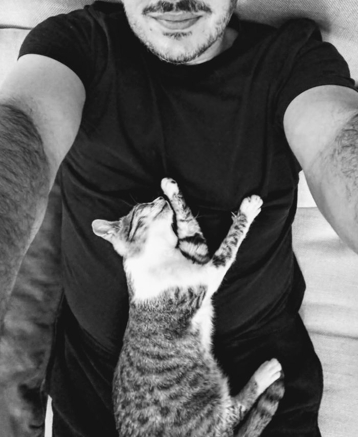 A Stray Kitten Saved As A Baby From The Streets Of A Greek Island. (Here 4 Months Old Alice)