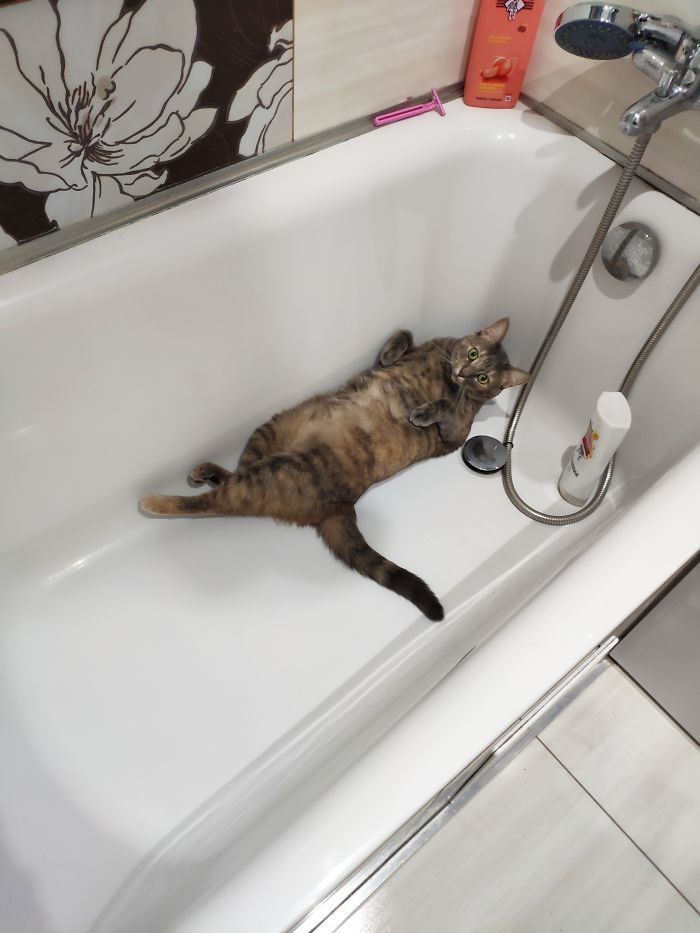 Paint Me Like One Of Your French Girls