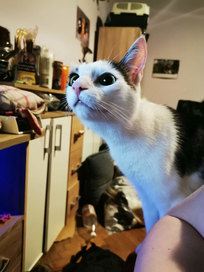 What Are You Watching?