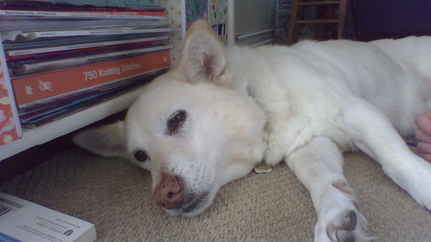 Hey Pandas, Did This Work? (Probably Not.)