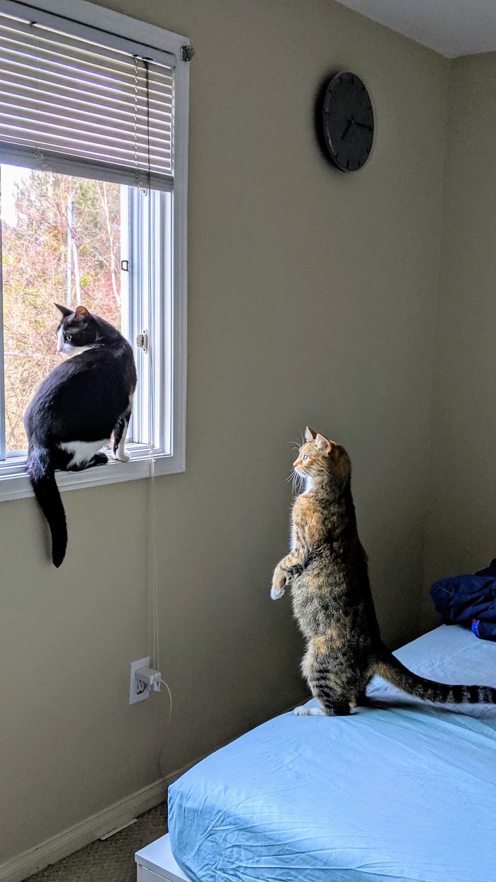 When There's Only 1 Gallery Seat...